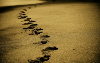 Planificar el camino. Huellas